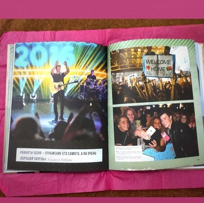 Шон Мендес книга