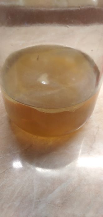 Продам Чайный Гриб