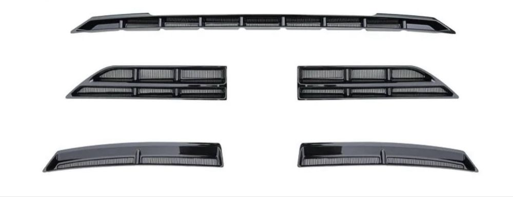 Защитная сетка радиатора — BYD Champion EV/DMI