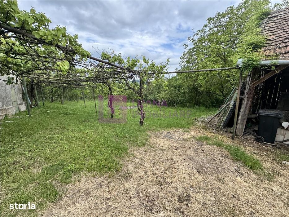 Casa individuala de vanzare in Nucet | Rosia | teren 1526 mp | livada,