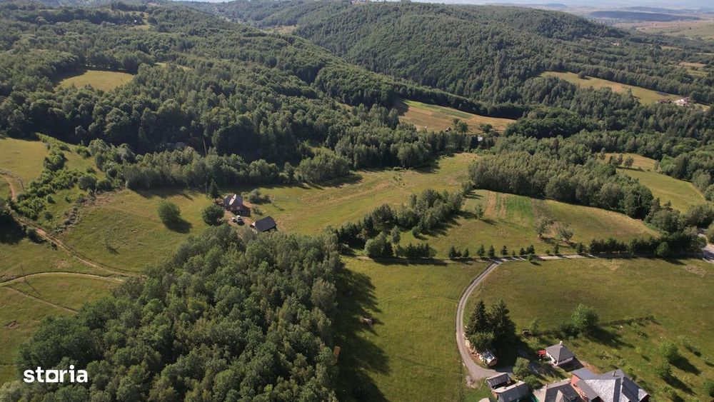 Exclusivitate | Teren de vanzare, 38.781 mp in Rasca