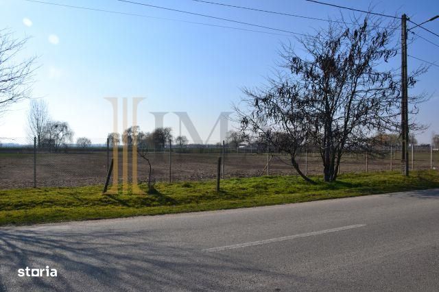 Vanzare Teren intravilan, 5600 mp in Mircea Voda - Dambovita.