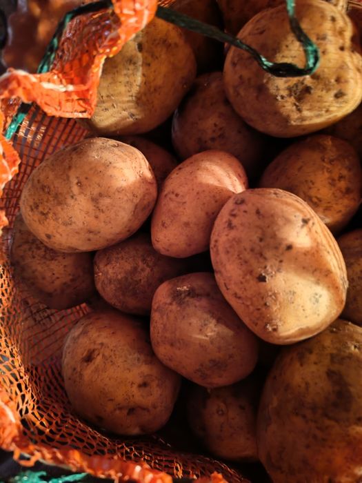 Продам картофель