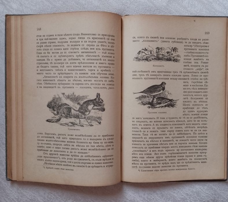 Заточението въ Сахара-Фезанъ