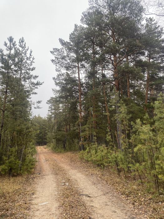 Продажа земельного участка срочно