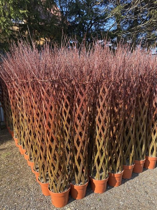 Salcie impletită 180-200 cm Trimitem prin Fan Courier oriunde în tara