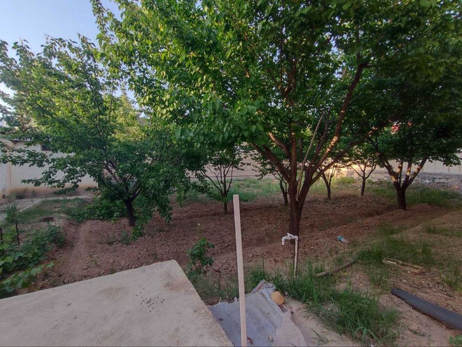 Uy Ijaraga beriladi (Mirmiron shaharchasidan 6-xonali )