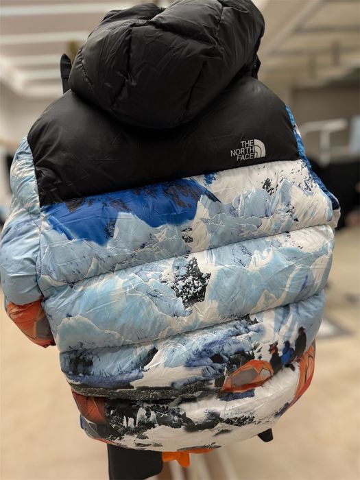 Geaca the north face