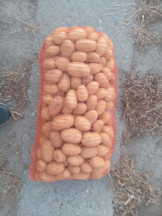Cartof de vanzare de consuming si pentru animale