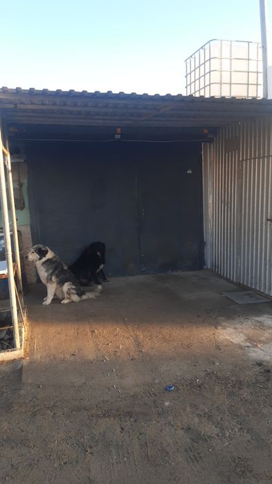 Гараж Гранит Гранит