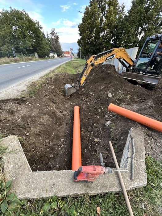 Lucrari profesionale excavator 3.8 t