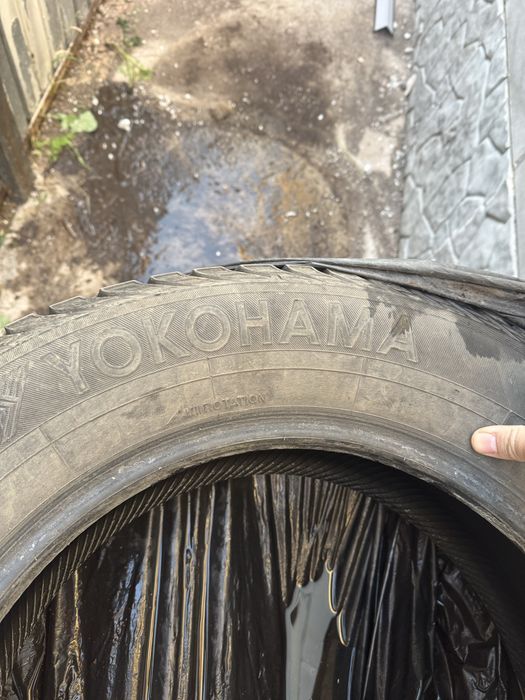 Зимние шины Yokohama