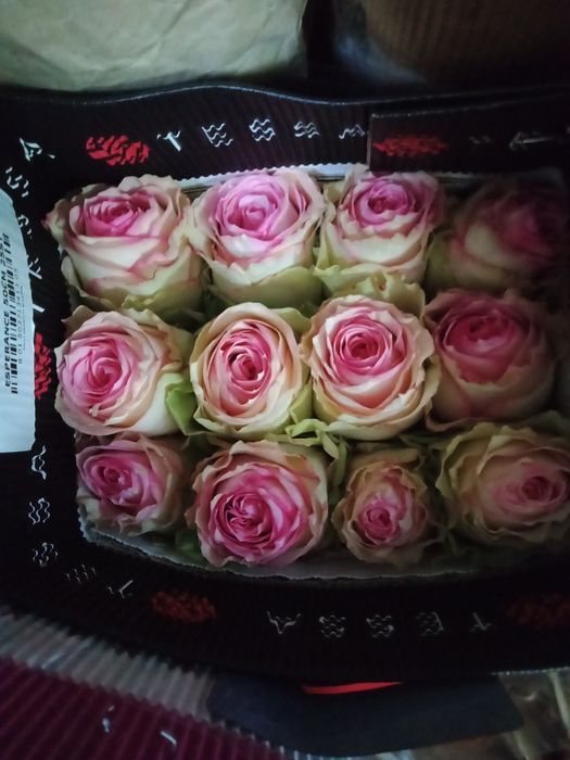 Розы по оптовой цене