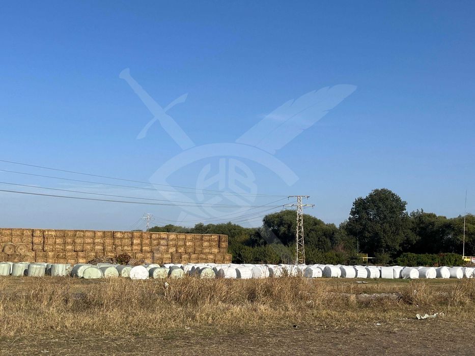 Парцел в Асеновград 50321