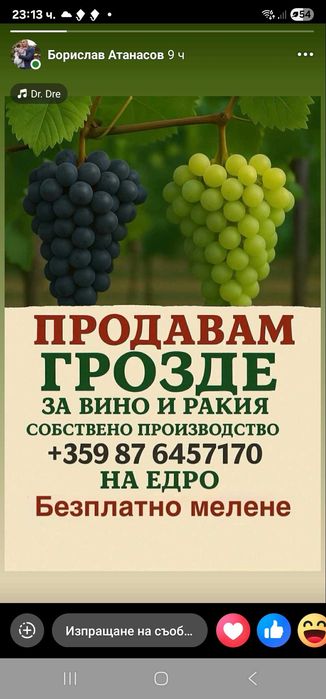 Грозде за вино и ракия различни видове