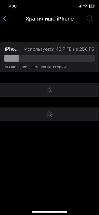 iPhone X без комплекта только чехол