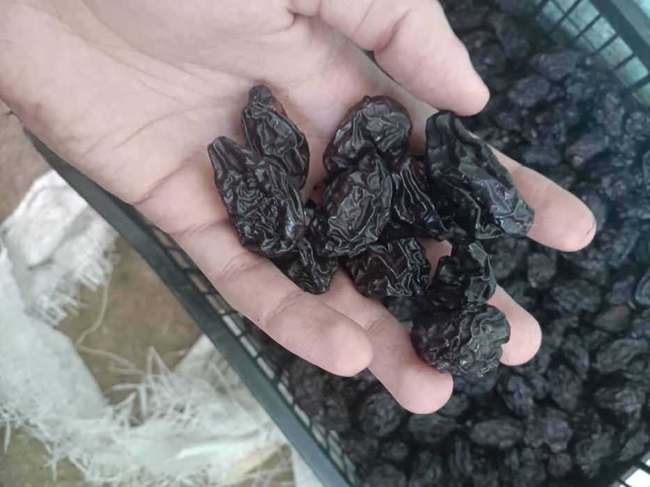 Vând prune uscate