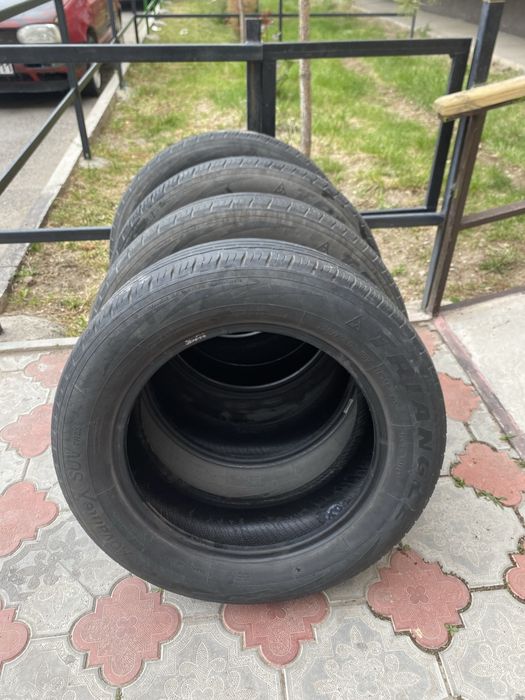 Продам ризины хорошие