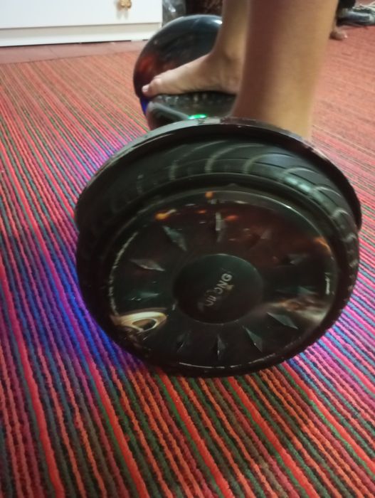 Сигвей сотиладии