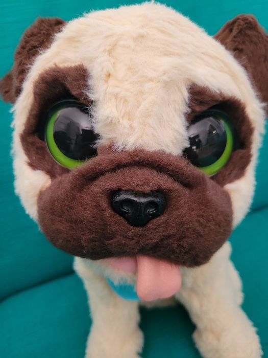 Plus interactiv Furreal catel