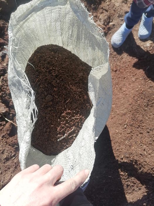 Сеянный перегнивший навоз