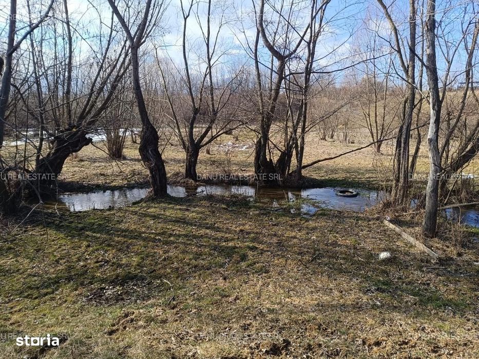 Bran Sohodol,5967mp+teren bonus,intravilan constructii P+E+M,comision0