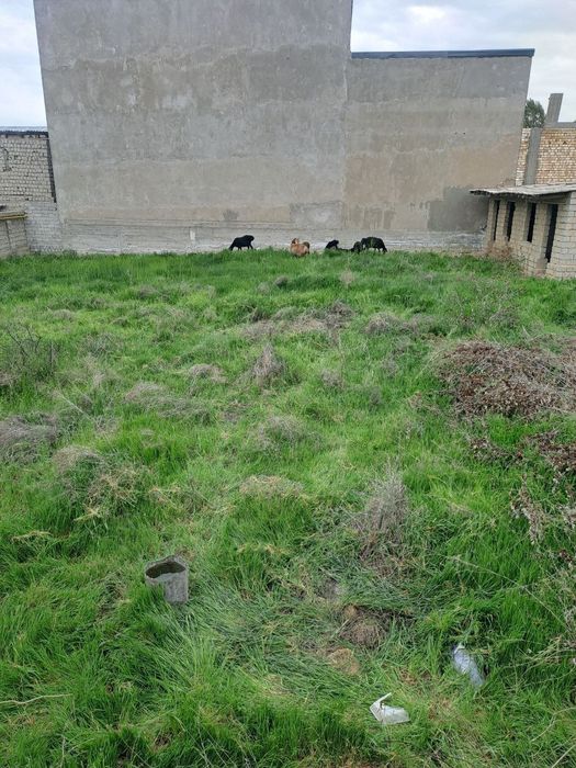 Юнусабад Тутзор, Ункурган 6 соток Земля ровная