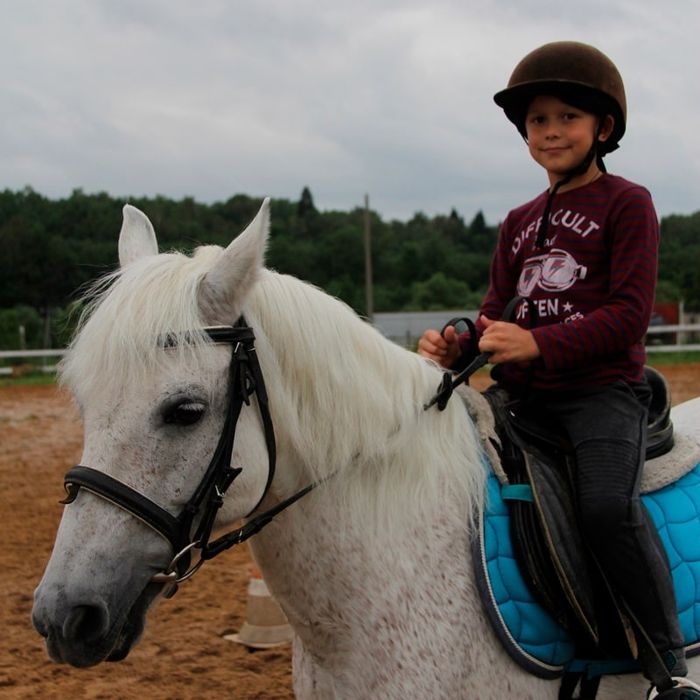 Ot minish mashg'uloti уроки верховая езда