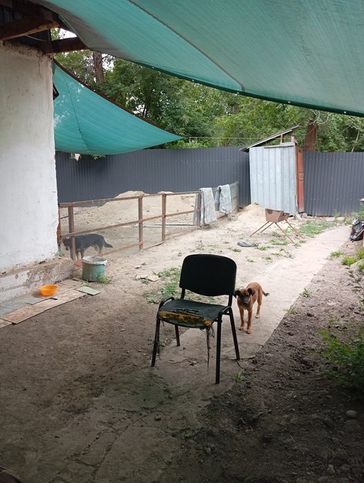 Сдам дом. Район Покровка