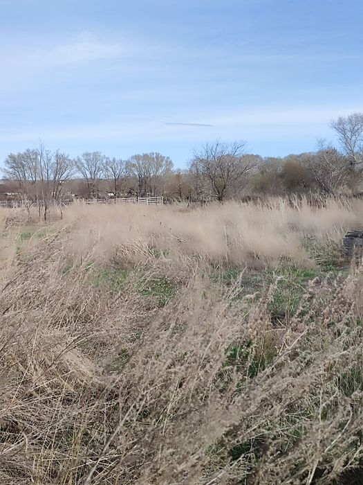 Жер сату, фундамент құйылған