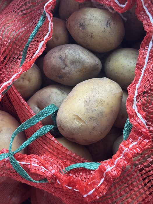 Продам  картофель дачный ,  Гала ,