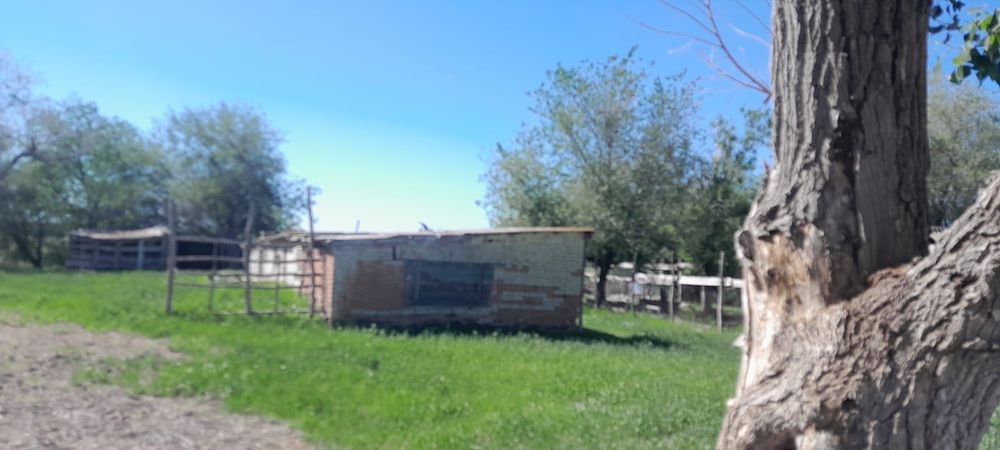 Продается дом,находится в поселке Аксуат.