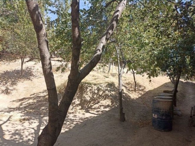 Дача учун бостонлк рн хондойлкда уй жой сотлади!