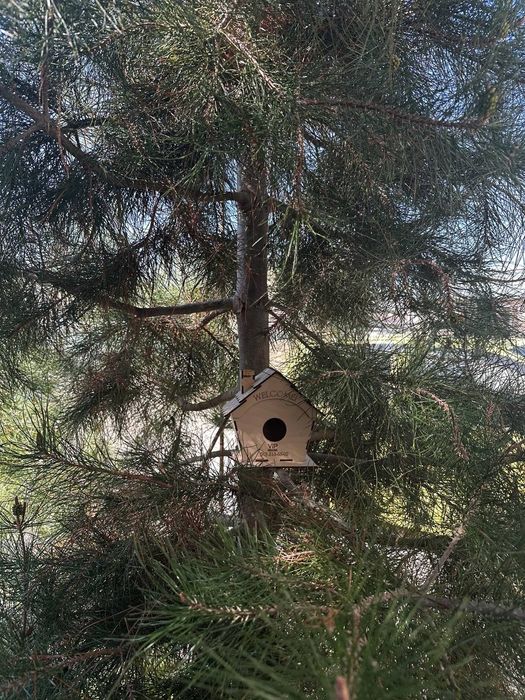 Скворешник для Канарейки