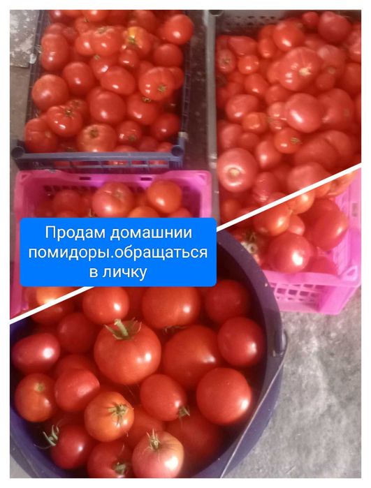 Домашние засолки