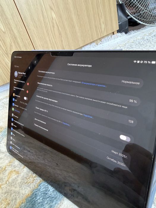 Ipad pro 256 12.9 м4 (айпад про)