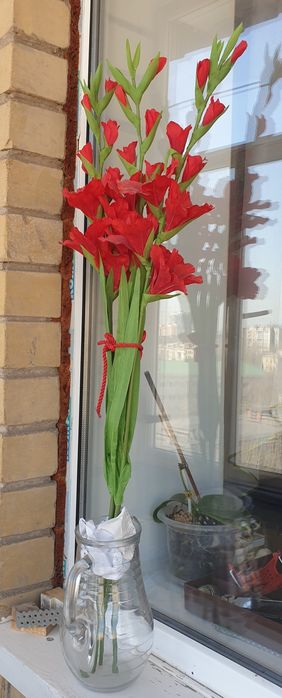 Гладиолусы 3 штуки.