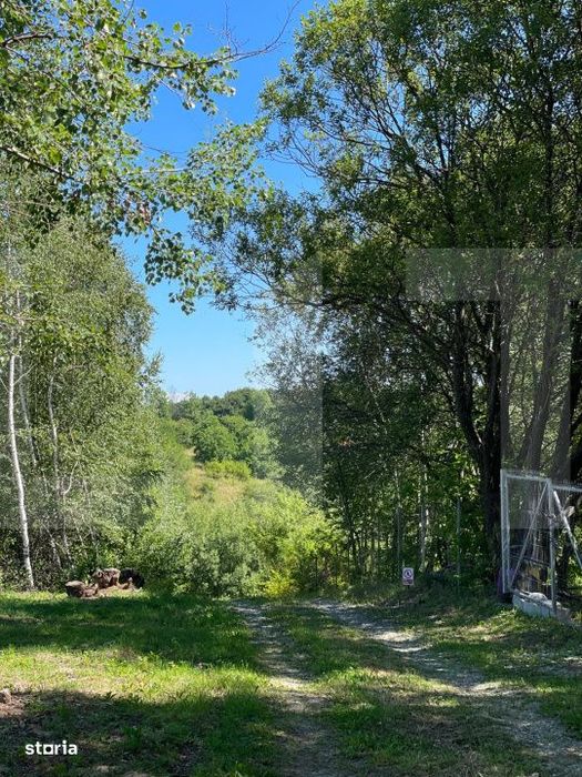 Teren de vanzare in zona Casele Micesti