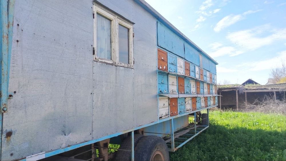Асалари павильони. Пчело прицеп 88 уля