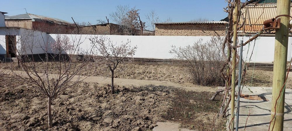 Продаю дачу  срочно