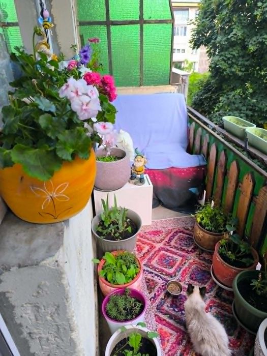 Vand apartament cu 4 camere
