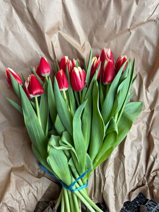 тюльпан тюльпаны розы оптом