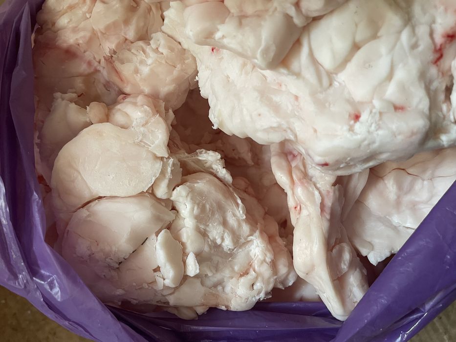 Продам жир конина