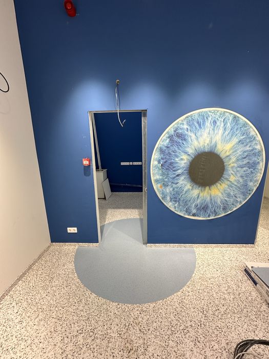 Montaj profesional LVT , MOCHETA , LINOLEUM , SPC , PARCHET