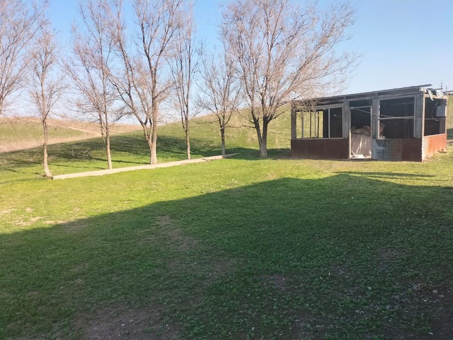 Фазенда, кашара 200га