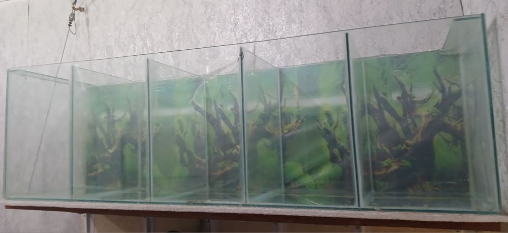 Аквариум секционный
