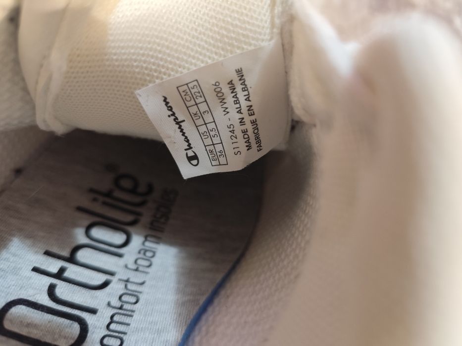 Champion 36 номер