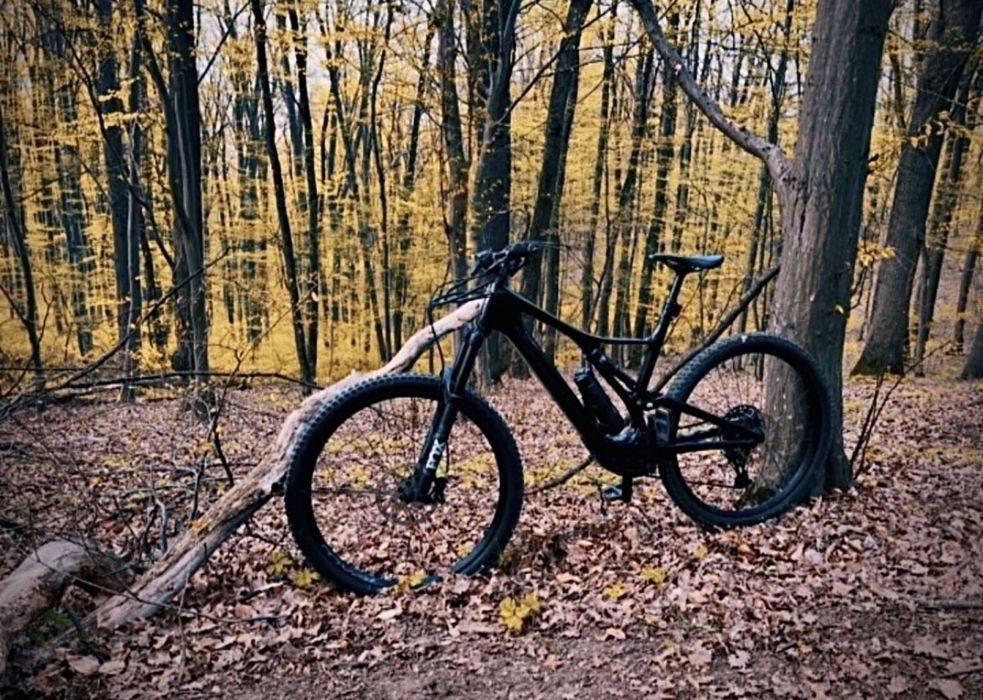 Specialized turbo levo SL carbon.