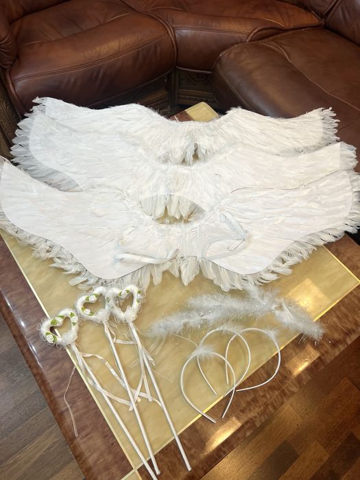 Крылья ангела и нимб