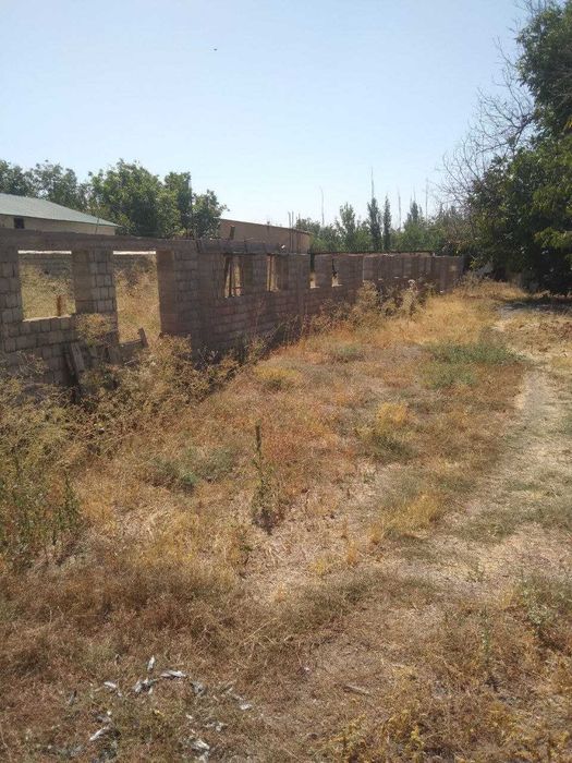 Ферма недалеко от Ташкента